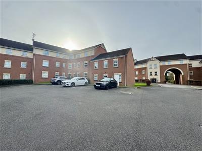 Picture 21